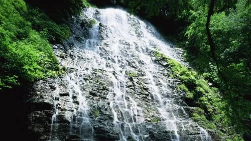 高性能智能